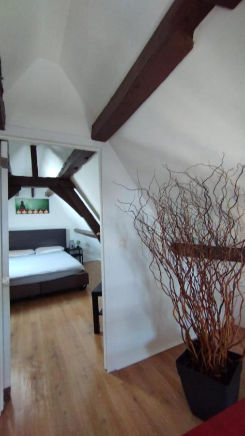 Appartement The 16th Century Duplex In The City Center Antwerpen